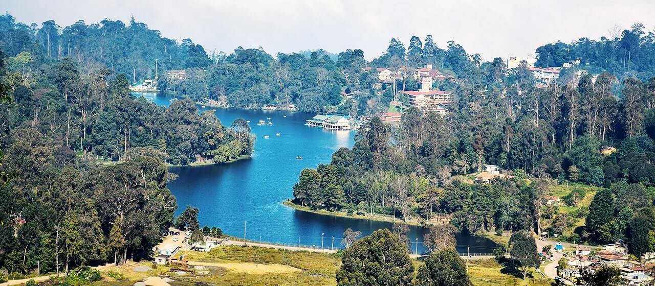 Real Estate in Kodaikanal