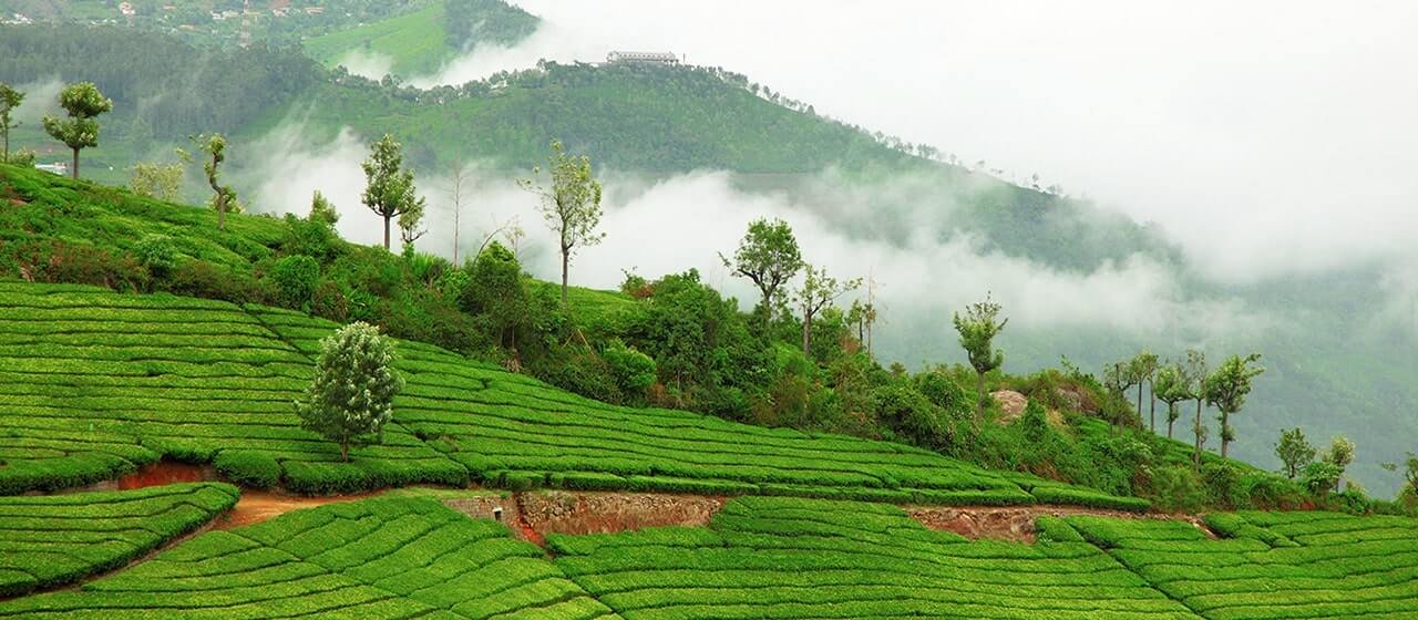 Real Estate in Coonoor