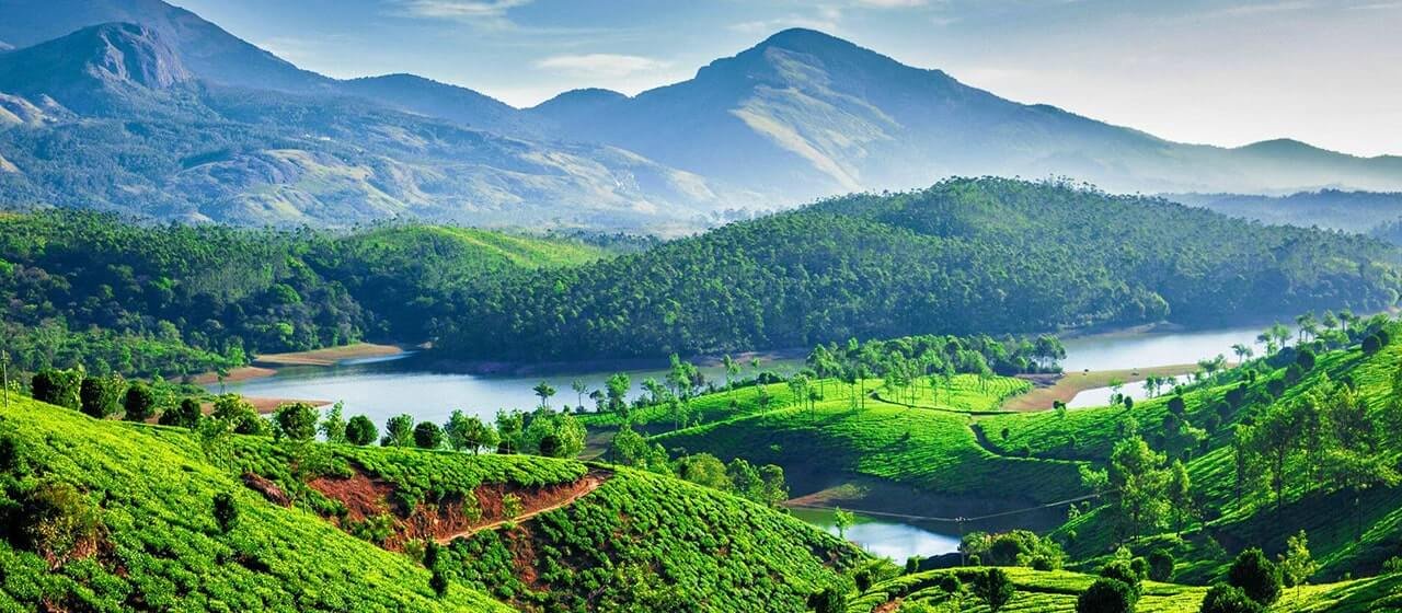 Real Estate in Munnar