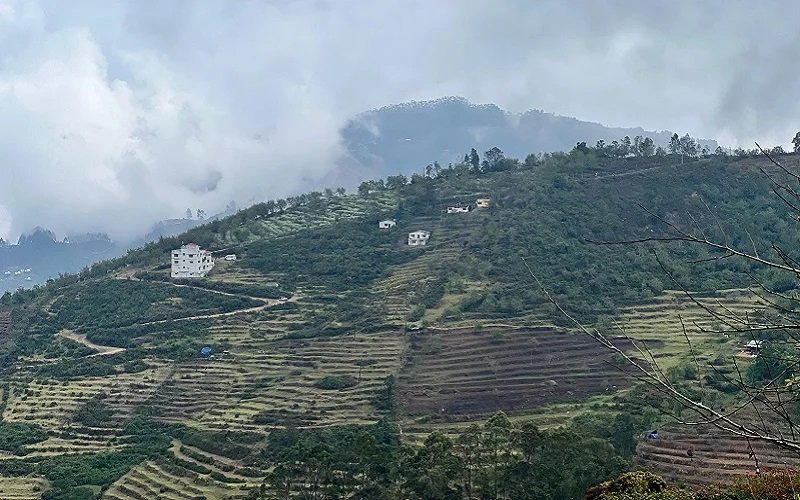 Hill Top DTCP Plots