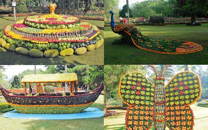 Coonoor Fruit Show