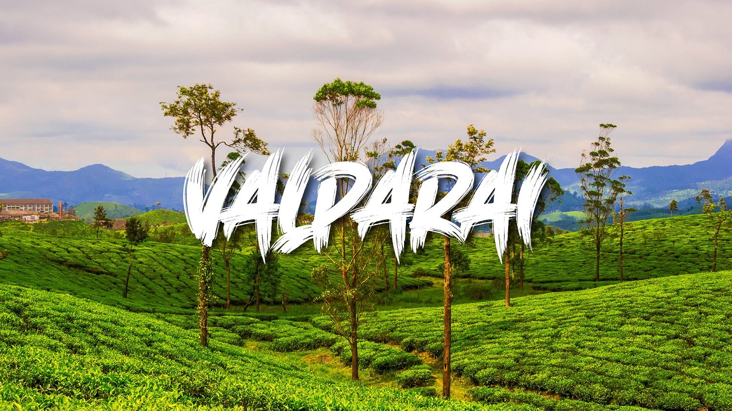 Valparai - A Heavenly Hill station amidst Flora and Fauna