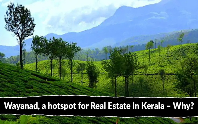 Wayanad, a Hotspot for Real Estate in Kerala – Why?