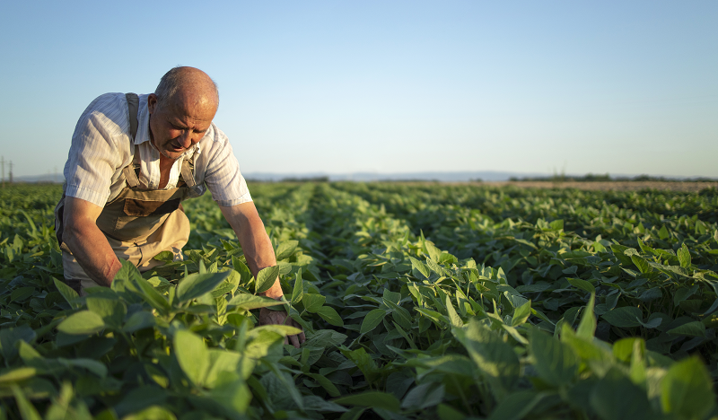 Top Locations for Agricultural Land  in South Indian Hill stations