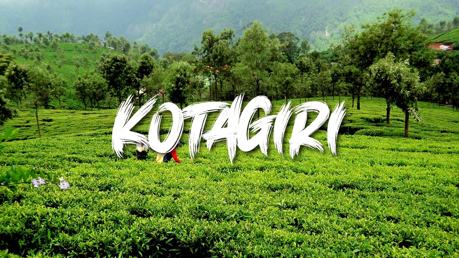 Reserve Your Gifted Quota for Living in Kotagiri!