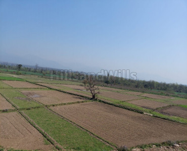 1800 sq.yards Agriculture Land For Sale in Doiwala Dehradun