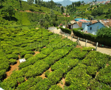 26 cents Agriculture Land For Sale in Melur-Hosahatty village Coonoor