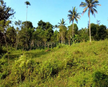 1 acres Residential Plot For Sale in Valavayal Wayanad