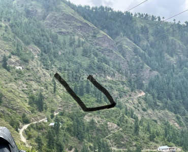 8.5 bigha commercial land  for sale in theog shimla
