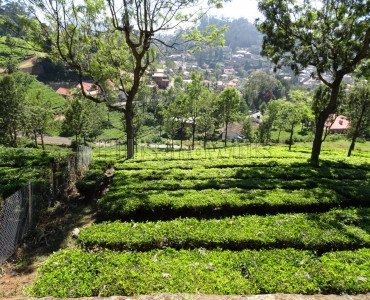 4800 sq.ft. residential plot for sale  in coonoor