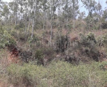 50 cents residential plot for sale  in arapuleeswarar temple main road kolli hills