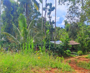 50 cents Residential Plot For Sale in Kappumchal Wayanad