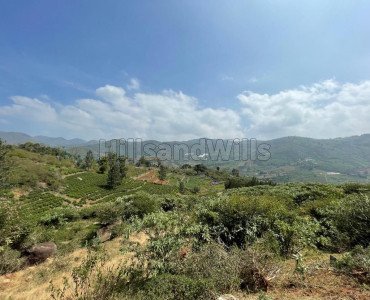 3 acres residential plot for sale  in kookal ooty