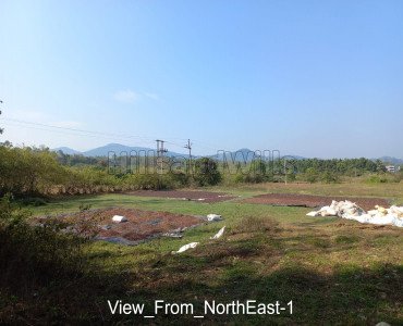 45.5 cents residential plot for sale in bittangala, virajpet coorg