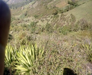 21 acres agriculture land for sale  in kilavarai kodaikanal