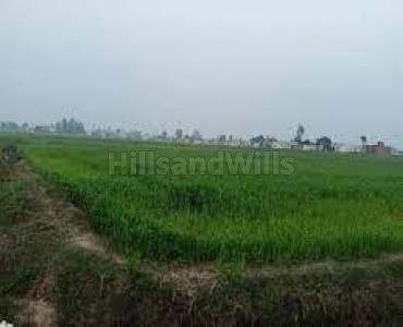 3.2 bigha Agriculture Land For Sale in Teh Bhagwanpur Uttarkhand