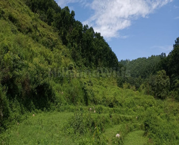 120 nali agriculture land for sale in yamkeswar gahil rishikesh