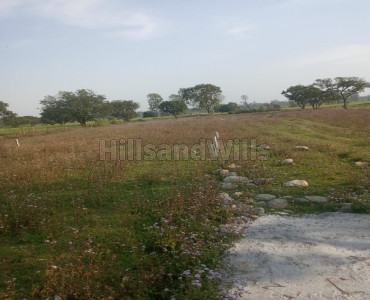 125 sq.yards Residential Plot For Sale in Ramsawala Dehradun