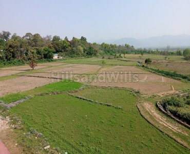 150 sq.yards residential plot for sale  in lachhiwala doiwala dehradun