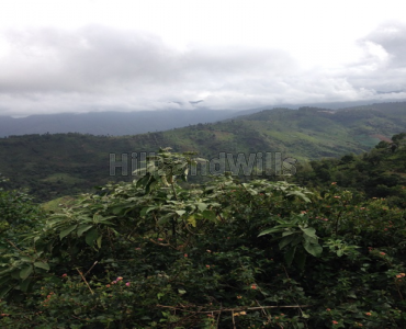 1.5 acres Agriculture Land For Sale in bengalmattam Ooty