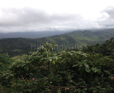 1.5 acres agriculture land for sale  in bengalmattam ooty