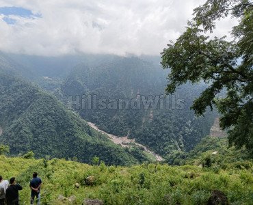 17 bigha agriculture land for sale in chamrolli dehradun