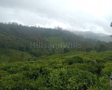 8 acres agriculture land for sale in selas coonoor