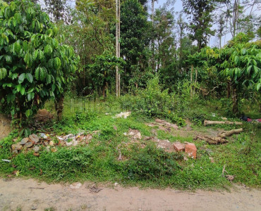 30 cents residential plot for sale in manivayal wayanad
