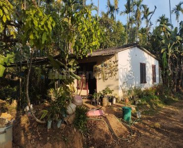3bhk independent house for sale  in ambalavayal wayanad