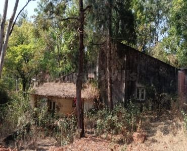 2000 sq.ft. Residential Plot For Sale in Nandanvan Society Panchgani