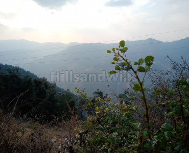 4 bigha commercial land  for sale in chail shimla
