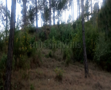 3 bigha commercial land  for sale in shoghi shimla
