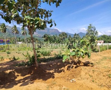 21 cents residential plot for sale  in ramalayam courtallam