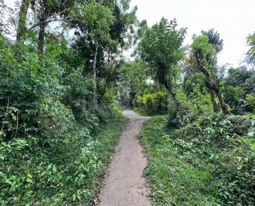 96 cents residential plot for sale  in pulpally wayanad