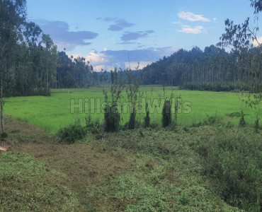 72 cents residential plot for sale in panamaram wayanad