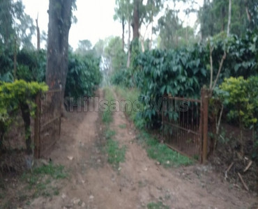2 acres agriculture land for sale in kutta coorg