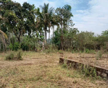 13066 sq.ft. residential plot for sale in napoklu coorg