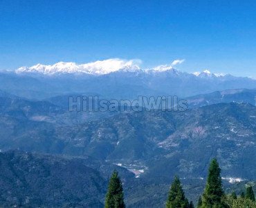 90 decimal residential plot for sale in darjeeling