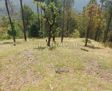 5 nali agriculture land for sale in lansdowne, uttarakhand