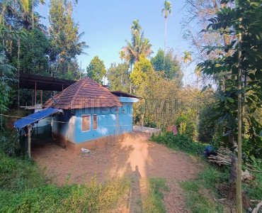 3bhk farm house for sale  in kenichira wayanad