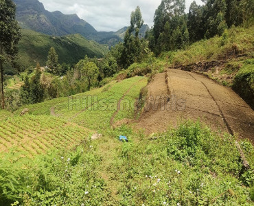 2 acres agriculture land for sale in vattavada, kottakamboor, idukki