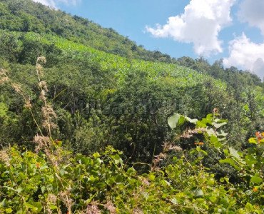 5 acres agriculture land for sale in k c patty kodaikanal