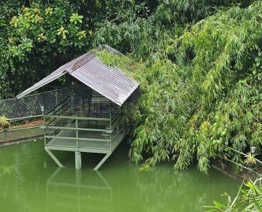 7400 sq. ft resort for sale  in vythiri wayanad along with 1.6 acres land