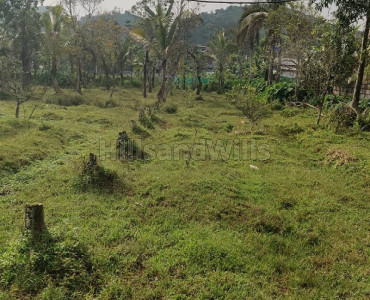 54 cents residential plot for sale in pandalur gudalur