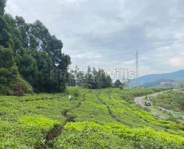 1 acres Agriculture Land For Sale in Thummanatty Ooty