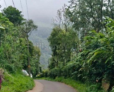 50 cents commerical land for sale  in nedumkandam idukki