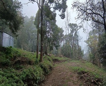 12 cents  gated community plot for sale  in pethuparai kodaikanal