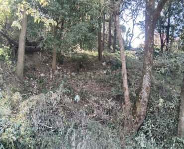 1830 sq.meter residential plot for sale in kotla solan