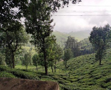 300 cents agriculture land for sale  in erumad gudalur