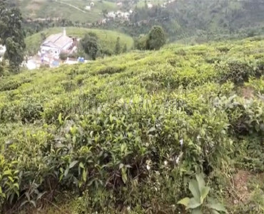 25000 sq.ft. agriculture land for sale in selas hullical coonoor